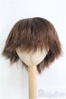 画像1: 9〜10inch/ウィッグ I-25-04-13-2029-TO-ZI (1)