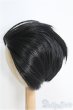 画像2: 8〜9inch/ウィッグ I-25-04-13-2024-TO-ZI (2)