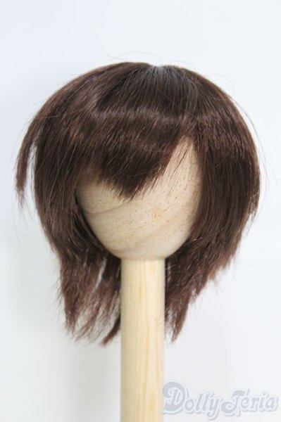 画像1: 7〜8inch/ウィッグ I-25-05-11-3025-TO-ZI (1)