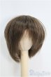 画像1: 7〜8inch/ウィッグ I-25-03-30-3017-TO-ZI (1)