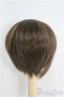 画像3: 7〜8inch/ウィッグ I-25-03-30-3017-TO-ZI (3)