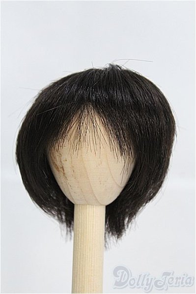 画像1: 7〜8inch/ウィッグ I-25-03-30-2021-TO-ZI (1)