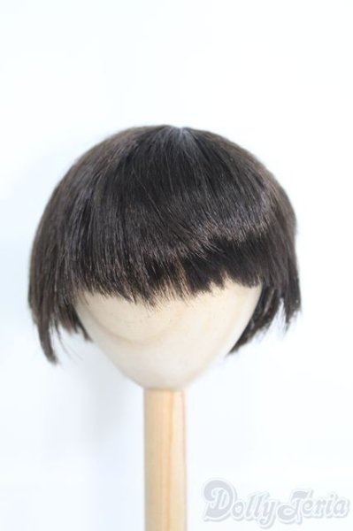 画像1: 8〜9inch/ウィッグ I-25-05-25-2024-TO-ZI (1)