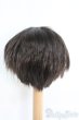 画像2: 8〜9inch/ウィッグ I-25-05-25-2024-TO-ZI (2)
