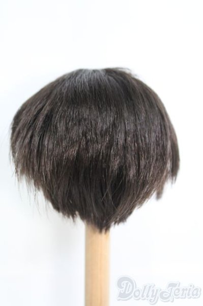 画像2: 8〜9inch/ウィッグ I-25-05-25-2024-TO-ZI (2)