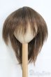 画像1: 9〜10inch/ウィッグ I-25-06-08-3029-TO-ZI (1)