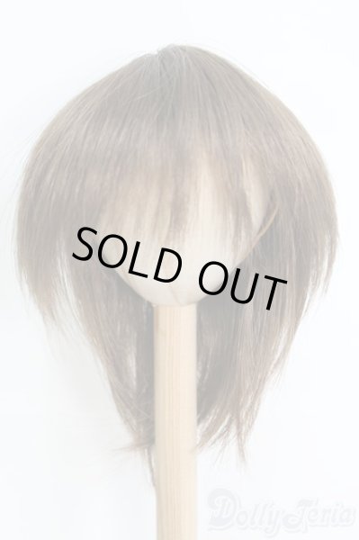 画像1: 9〜10inch/ウィッグ I-25-06-08-3029-TO-ZI (1)