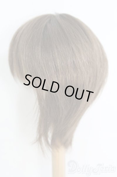 画像2: 9〜10inch/ウィッグ I-25-06-08-3029-TO-ZI (2)