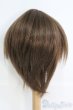 画像3: 9〜10inch/ウィッグ I-25-06-08-3029-TO-ZI (3)