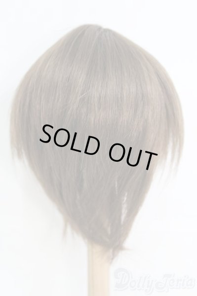 画像3: 9〜10inch/ウィッグ I-25-06-08-3029-TO-ZI (3)