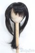 画像1: 9〜10inch/ウィッグ I-25-04-13-2026-TO-ZI (1)