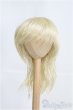 画像1: 9〜10inch/ウィッグ I-25-04-06-3028-TO-ZI (1)