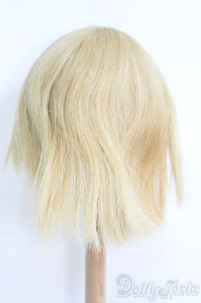 画像3: 8〜9inch/ウィッグ I-25-04-20-3022-TO-ZI (3)