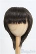 画像1: 8〜9inch/ウィッグ I-25-03-30-2025-TO-ZI (1)