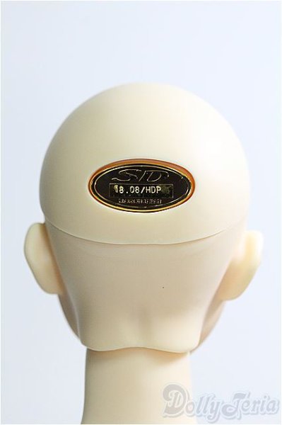 画像5: SDGr/支倉常長II I-25-06-29-1068-TO-ZI (5)