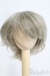 画像1: 7〜8inch/ウィッグ I-25-05-11-2011-KN-ZI (1)