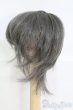 画像2: 7〜8inch/ウィッグ I-25-05-18-2018-TO-ZI (2)