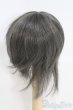 画像3: 7〜8inch/ウィッグ I-25-05-18-2018-TO-ZI (3)