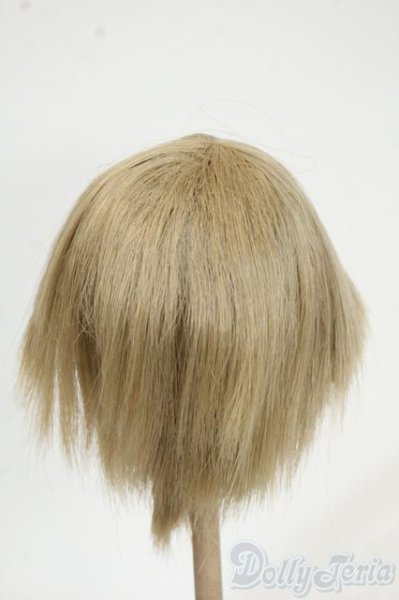 画像2: 9~10inch/ウィッグ Y-25-12-03-277-TO-ZY (2)