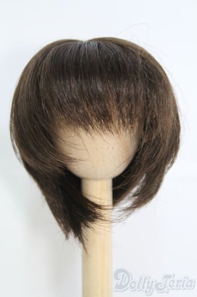 画像1: 7〜8inch/ウィッグ I-25-05-11-3028-KN-ZI (1)
