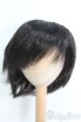 画像1: 9〜10inch/ウィッグ I-25-05-11-3036-TO-ZI (1)