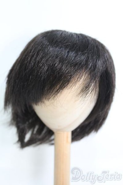 画像1: 9〜10inch/ウィッグ I-25-05-11-3036-TO-ZI (1)
