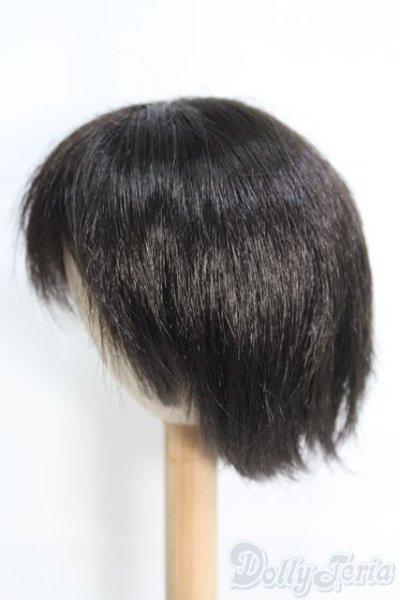 画像2: 9〜10inch/ウィッグ I-25-05-11-3036-TO-ZI (2)