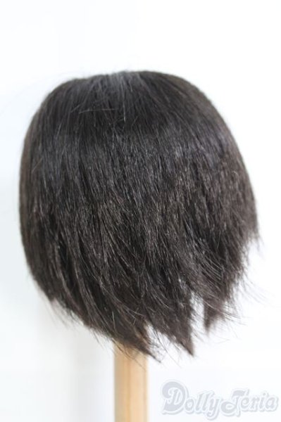 画像3: 9〜10inch/ウィッグ I-25-05-11-3036-TO-ZI (3)