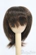 画像1: 7〜8inch/ウィッグ I-25-05-11-2016-KN-ZI (1)
