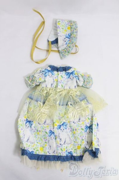 画像2: MSD/OF:永久薔薇園様製ドレスセット I-25-05-11-3074-KN-ZI (2)