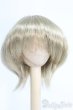 画像1: 7〜8inch/ウィッグ I-25-05-11-2017-KN-ZI (1)