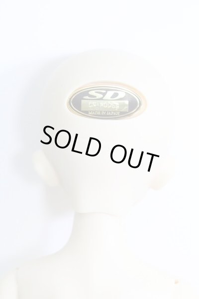 画像4: SDM/コーディネートモデル:F-33 I-24-02-04-1002-KN-ZI (4)