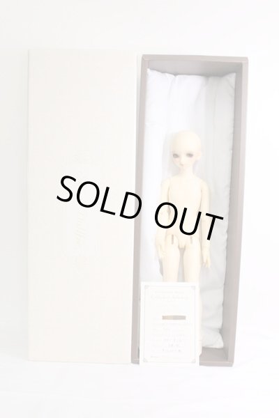 画像7: SDM/コーディネートモデル:F-17 I-24-02-04-1001-KN-ZI (7)