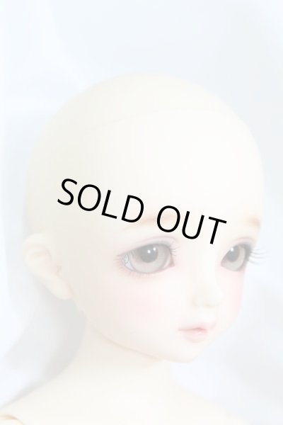 画像3: SDM/コーディネートモデル：F-50 I-24-02-11-1001-TO-ZI (3)