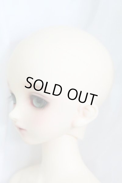 画像2: SDMGIRL/コーディネートモデル F33 I-24-02-11-1002-TO-ZI (2)