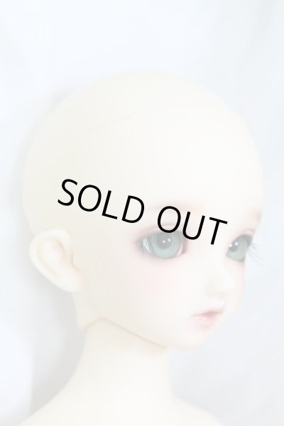 画像3: SDMGIRL/コーディネートモデル F33 I-24-02-11-1002-TO-ZI (3)