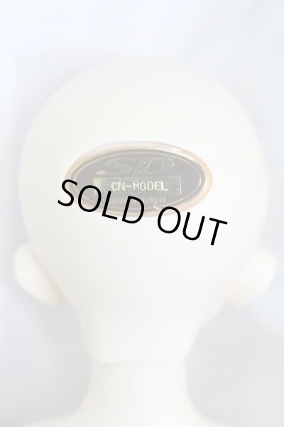 画像4: SDMGIRL/コーディネートモデル F33 I-24-02-11-1002-TO-ZI (4)