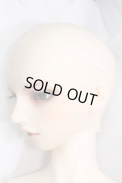 画像3: SDGr/支倉常長II I-24-02-18-1003-TO-ZI (3)