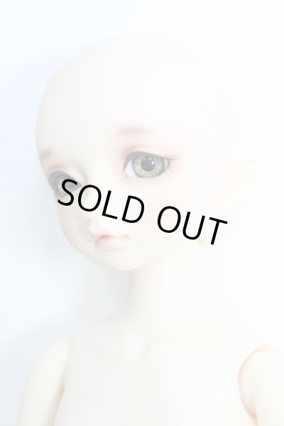 SDM/のあ：スタンダードモデル I-24-02-25-1003-TO-ZI - DOLL UP!