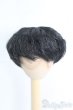 画像1: 6〜7inch/ウィッグ I-25-06-22-2016-TO-ZI (1)