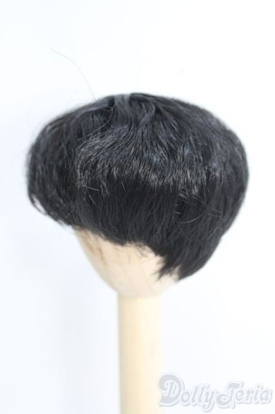 画像2: 6〜7inch/ウィッグ I-25-06-22-2016-TO-ZI (2)