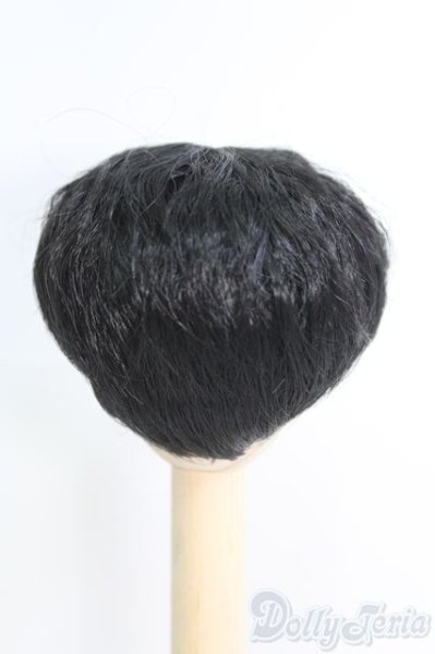 画像3: 6〜7inch/ウィッグ I-25-06-22-2016-TO-ZI (3)