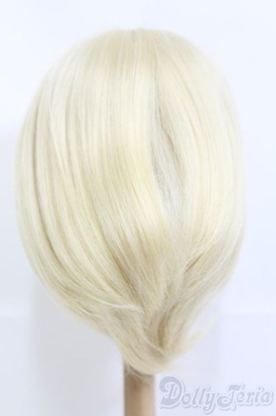 画像3: 8〜9inch/ウィッグ：48-DD-88【新品商品】 I-25-05-18-2050-TO-ZI (3)