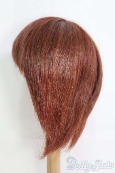 画像2: 9〜10inch程度/ウィッグ I-25-06-08-3027-TO-ZI (2)