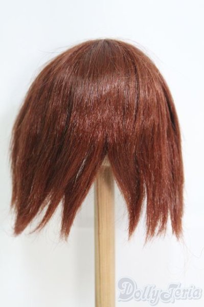 画像3: 9〜10inch程度/ウィッグ I-25-06-08-3027-TO-ZI (3)