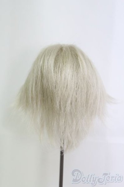 画像2: 9〜10inch/ウィッグ I-25-06-08-2026-KN-ZI (2)