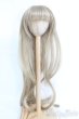 画像1: 8〜9inch/ウィッグ/インチ　BJD　MJD　ドール用 I-25-07-06-2023-KN-ZI (1)