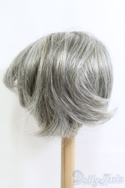 画像3: 9〜10inch程度/ウィッグ I-25-06-22-2025-TO-ZI (3)