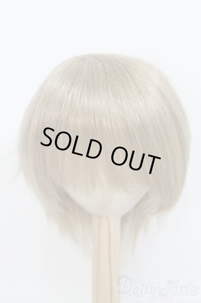 画像1: 8〜9inch/ウィッグ/ I-25-07-13-2022-KN-ZI (1)