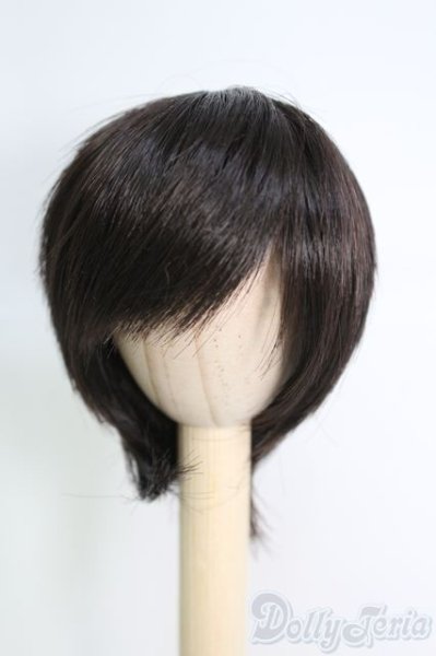 画像1: 6〜7inch/ウィッグ I-25-06-01-3024-KN-ZI (1)
